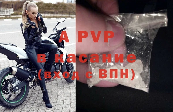 стаф Киреевск